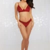 Dreamgirl Underwired Claret Bra And Thong Set -Mayfair Stockings Mayfair Stockings12380 Garnet Front 1