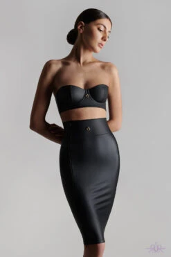 Maison Close Chambre Noire Skirt -Mayfair Stockings Mayfair Stockings561429 2022 chambre noire 0873 76