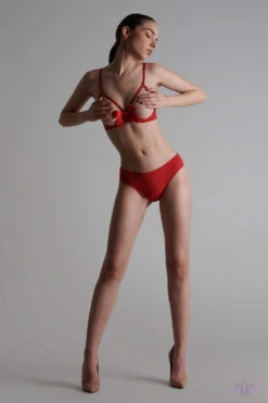 Maison Close Le Petit Secret Red Cupless Bra With Bow -Mayfair Stockings Mayfair Stockings609494 petit secret 005621 720x1080 crop center 2x 73