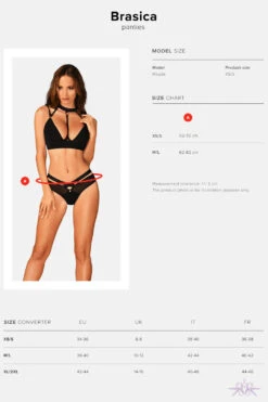 Obsessive Brasica Black Briefs -Mayfair Stockings Mayfair StockingsObsessive brasica panties 24