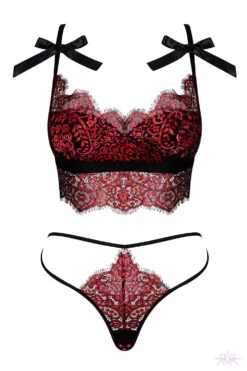 Obsessive Redessia Two Piece Set -Mayfair Stockings Mayfair StockingsObsessive redessia top thong packshot 37