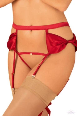 Obsessive Rubinesa Garter Belt -Mayfair Stockings Mayfair StockingsObsessive rubinesa garter belt 2 2 9