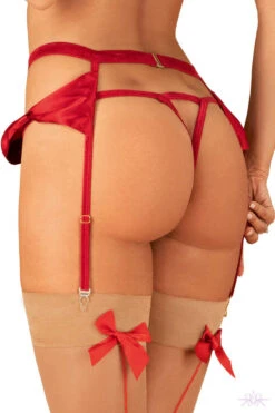 Obsessive Rubinesa Garter Belt -Mayfair Stockings Mayfair StockingsObsessive rubinesa garter belt back 2 2 10