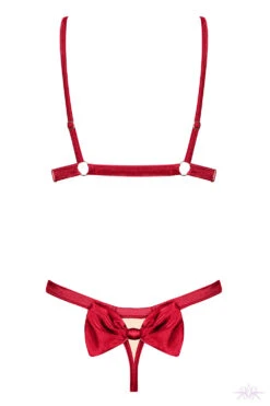 Obsessive Rubinesa Cupless 2 Piece Set -Mayfair Stockings Mayfair StockingsObsessive rubinesa set back packshot 22