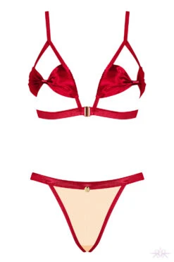 Obsessive Rubinesa Cupless 2 Piece Set -Mayfair Stockings Mayfair StockingsObsessive rubinesa set packshot 21