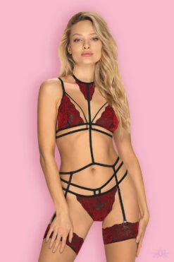 Obsessive Sugestina 3 Piece Set -Mayfair Stockings Mayfair StockingsObsessive sugestina set 2 4