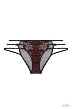 Playful Promises Red Dakota Embroidered Brief -Mayfair Stockings Mayfair Stockingsplayful promises brief dakota red snake embroidered brief 30243477127216 2000x 6