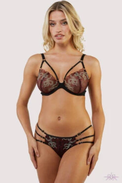 Playful Promises Red Dakota Embroidered Brief -Mayfair Stockings Mayfair Stockingsplayful promises brief dakota red snake embroidered brief 30295086989360 2000x 3