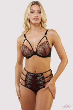 Playful Promises Red Dakota Embroidered High Waist Brief -Mayfair Stockings Mayfair Stockingsplayful promises brief dakota red snake embroidered high waist brief 30295088398384 2000x 2