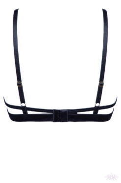 Prelude Rita Triangle Bra 25 Prelude Rita Triangle Bra -Mayfair Stockings Mayfair Stockingsys317 ys317.neg 2 31