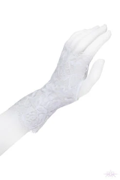 Prelude Marlene Lace Gloves -Mayfair Stockings Mayfair Stockingsyx300 yx300.alb 1 55