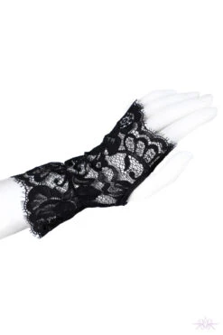 Prelude Marlene Lace Gloves -Mayfair Stockings Mayfair Stockingsyx300 yx300.neg 1 12
