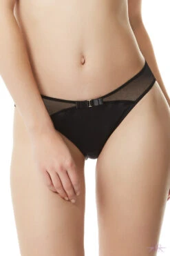 Bluebella Saffy Bikini Brief -Mayfair Stockings Saffy Brief 4 3