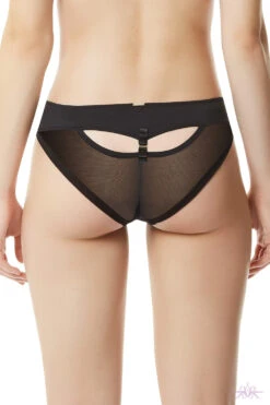 Bluebella Saffy Bikini Brief -Mayfair Stockings Saffy Brief 6 3